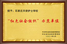 “红色社会组织”示范单位
